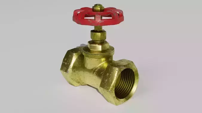 Bronze valve