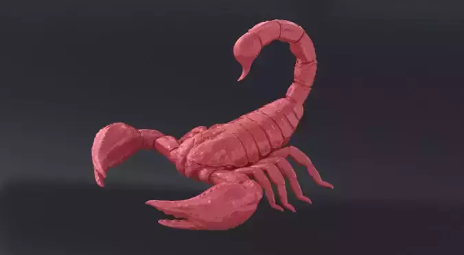 Scorpio 3D print or CNC model 3D print model