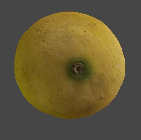 Lemon 3D model_6