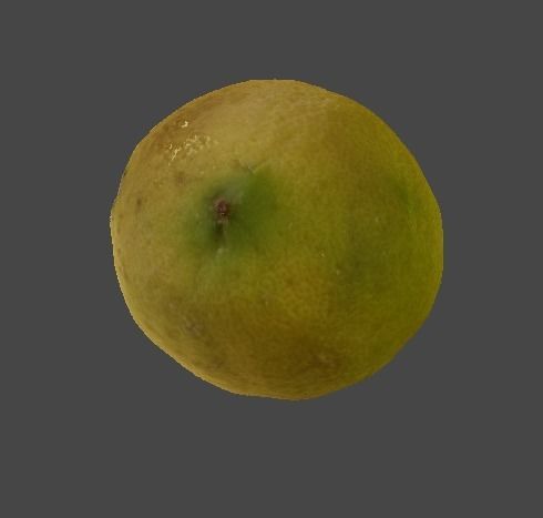 Lemon 3D model_3