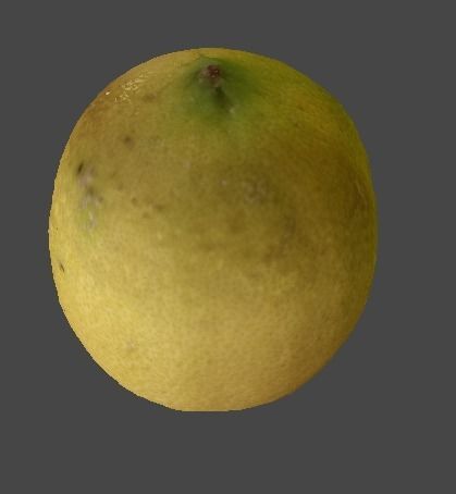 Lemon 3D model_2