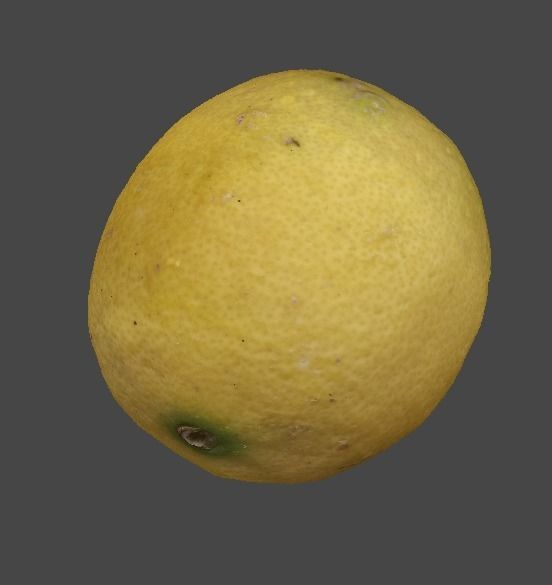 Lemon 3D model_4