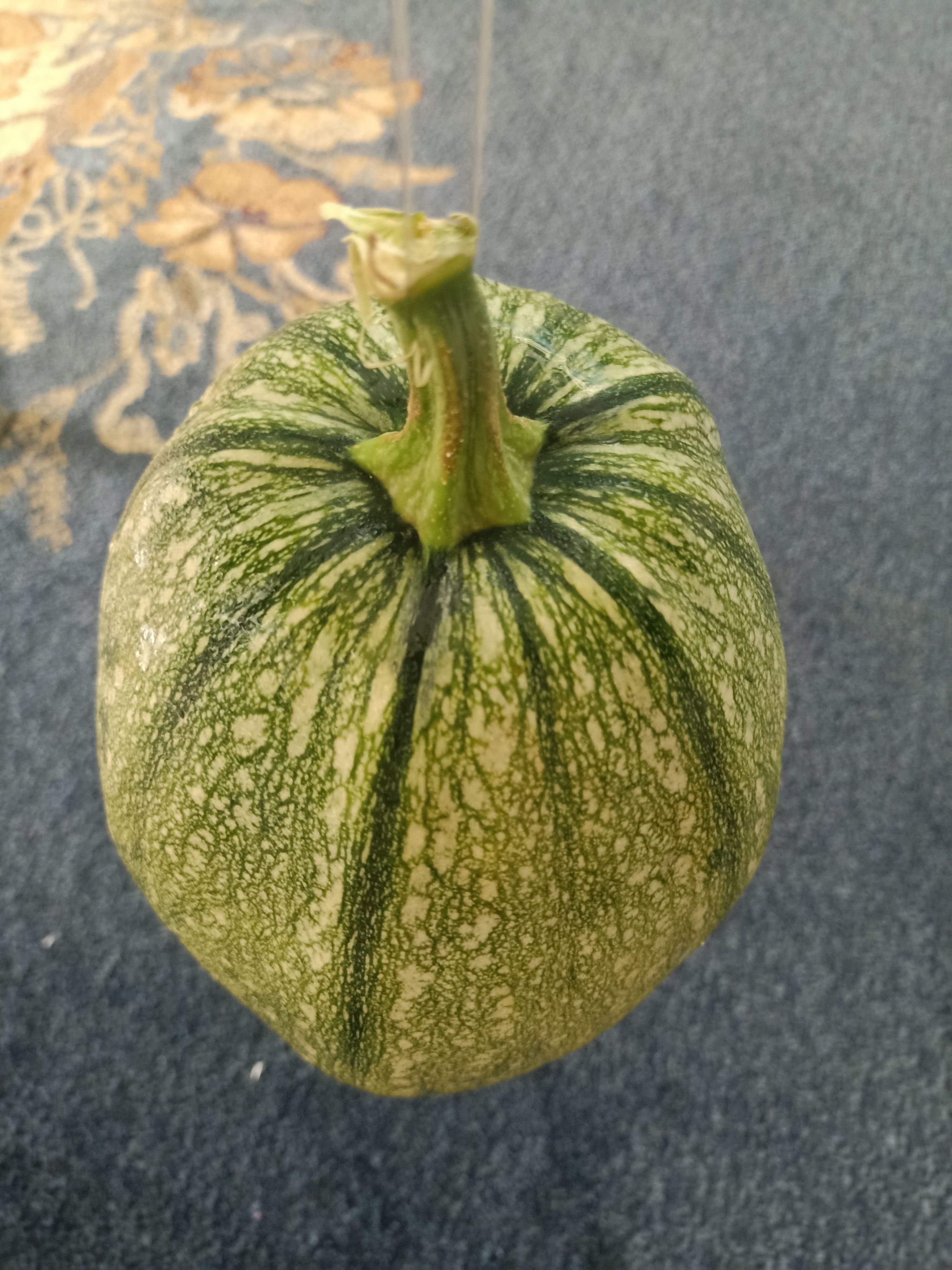 Pumpkin squash 3D model_5