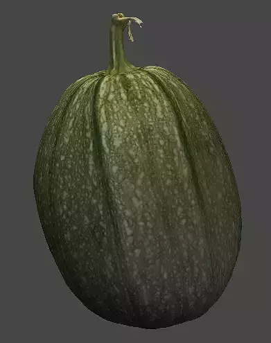 Pumpkin squash 3D model