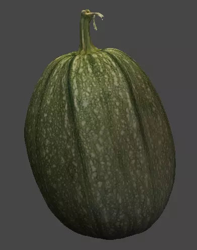 Pumpkin squash 3D model_0