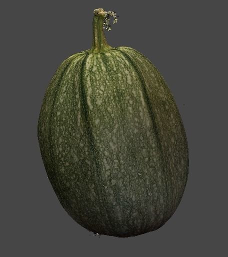 Pumpkin squash 3D model_2