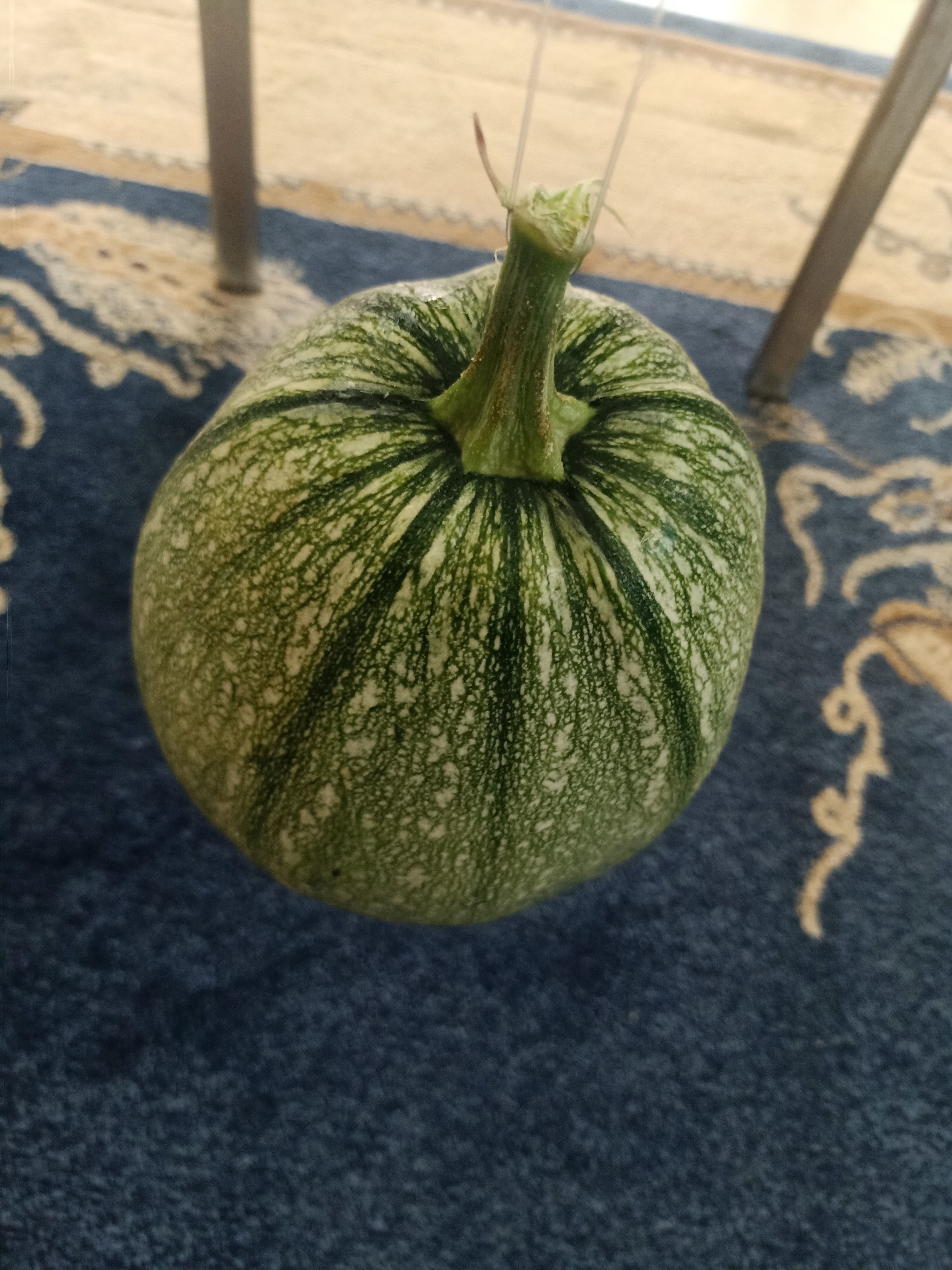 Pumpkin squash 3D model_11