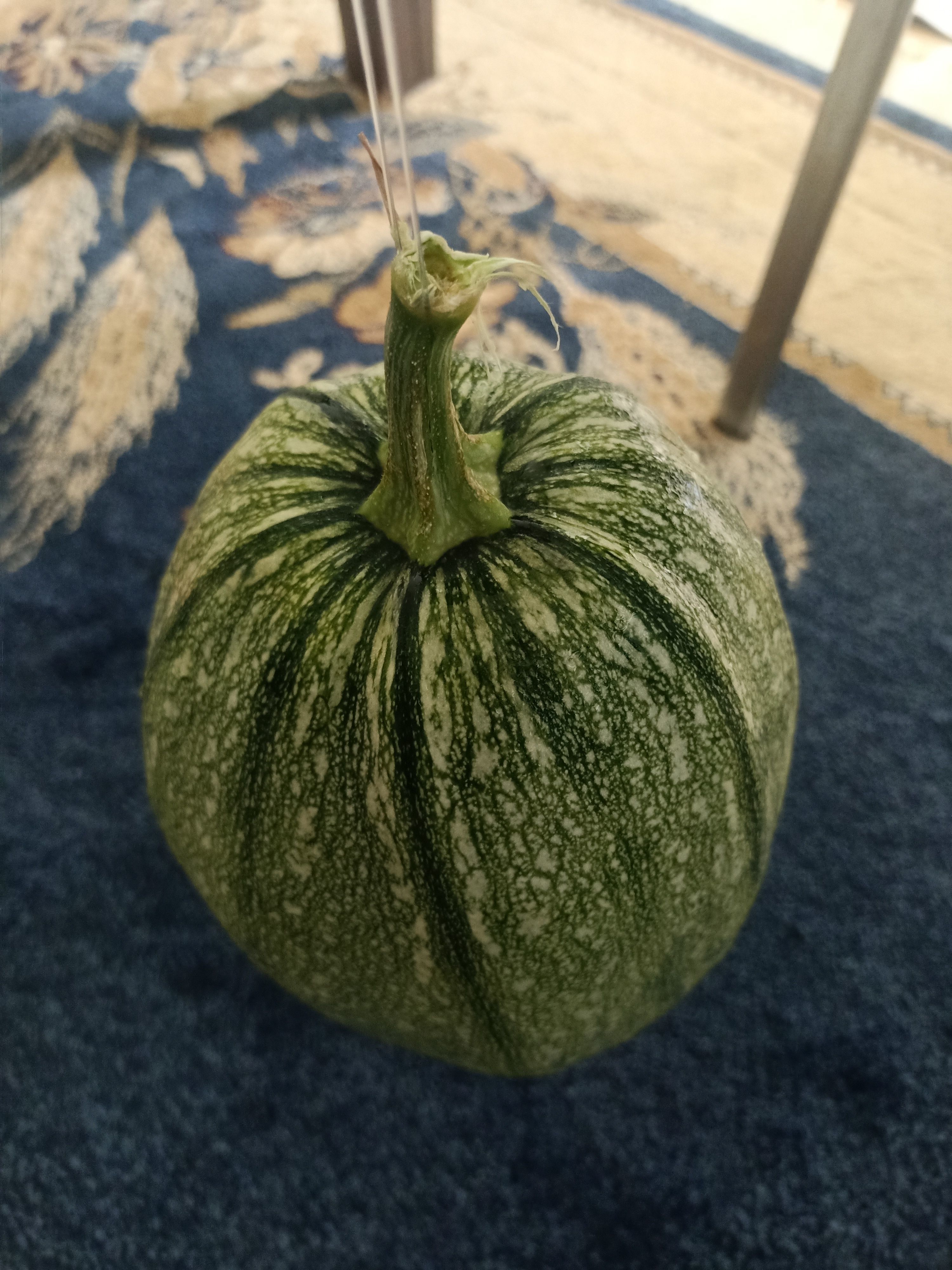 Pumpkin squash 3D model_9