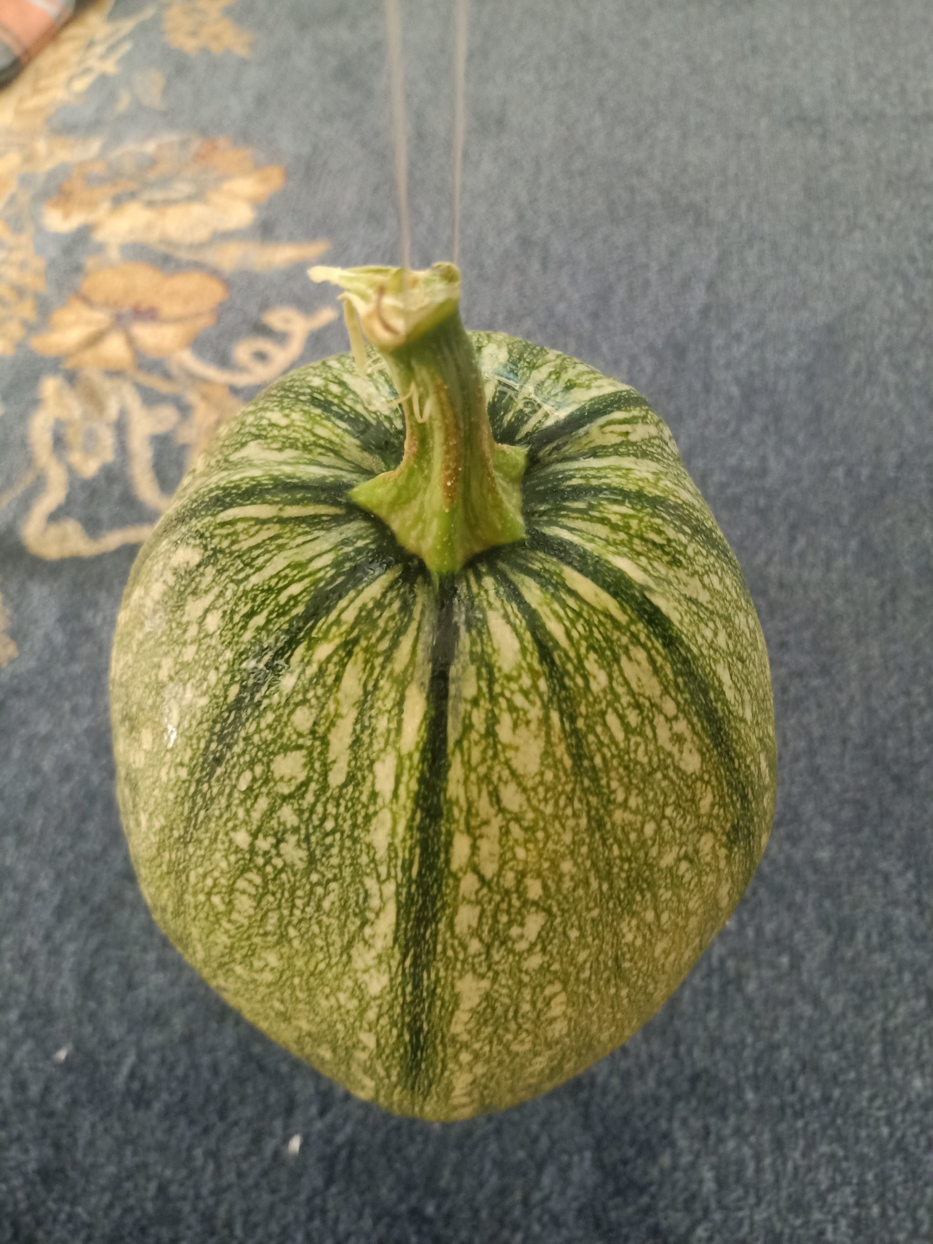 Pumpkin squash 3D model_14