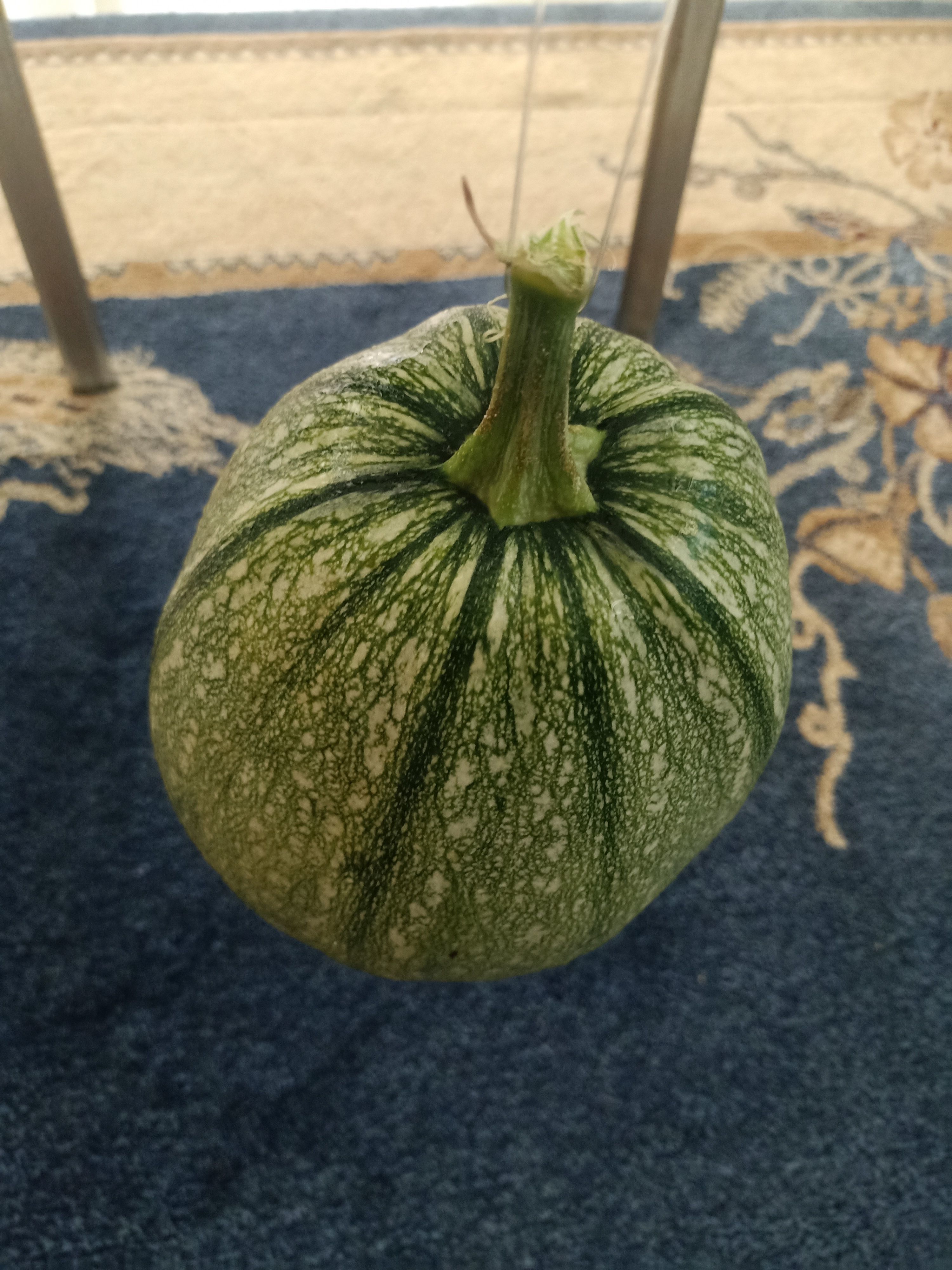 Pumpkin squash 3D model_6