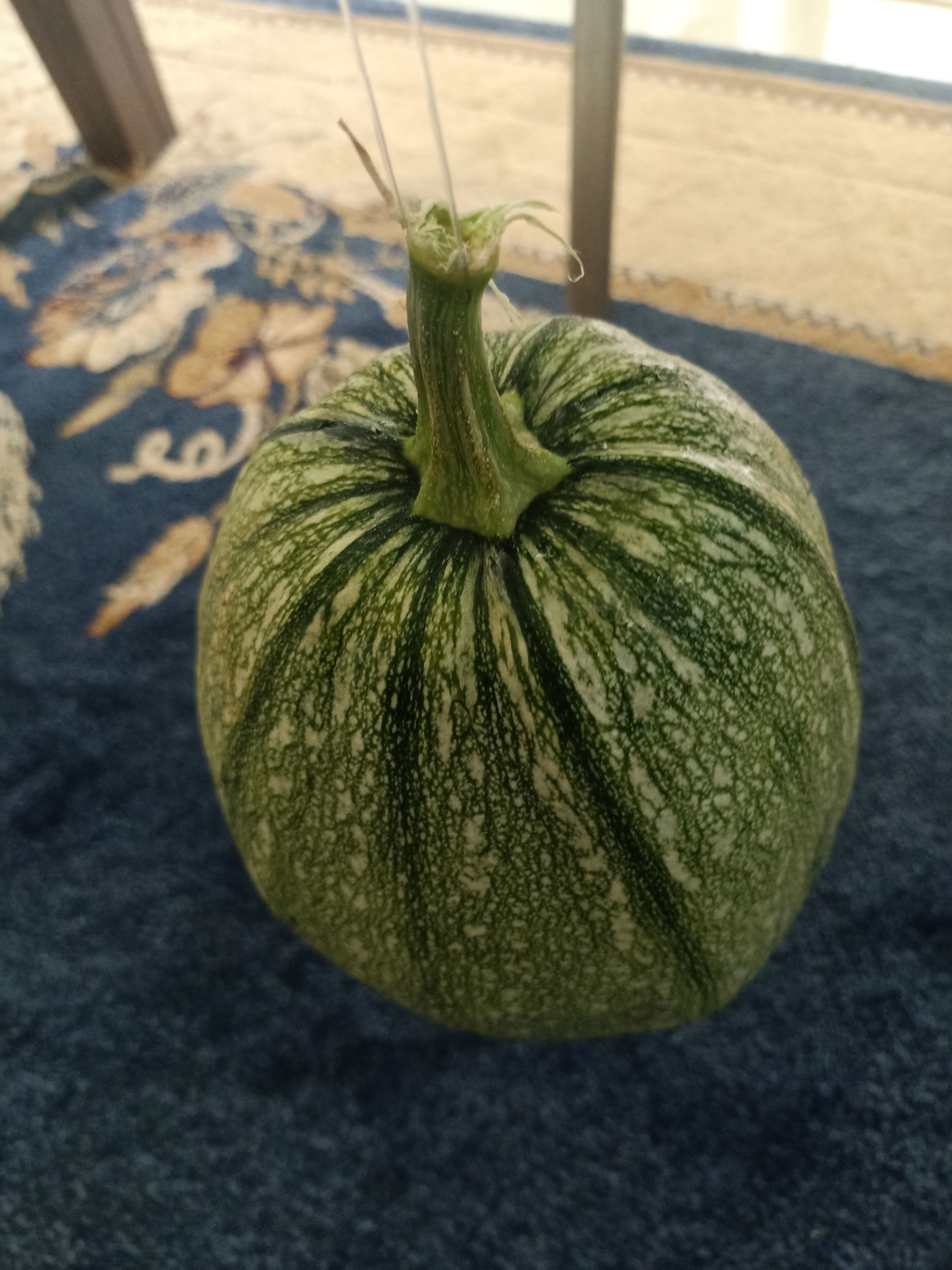 Pumpkin squash 3D model_7