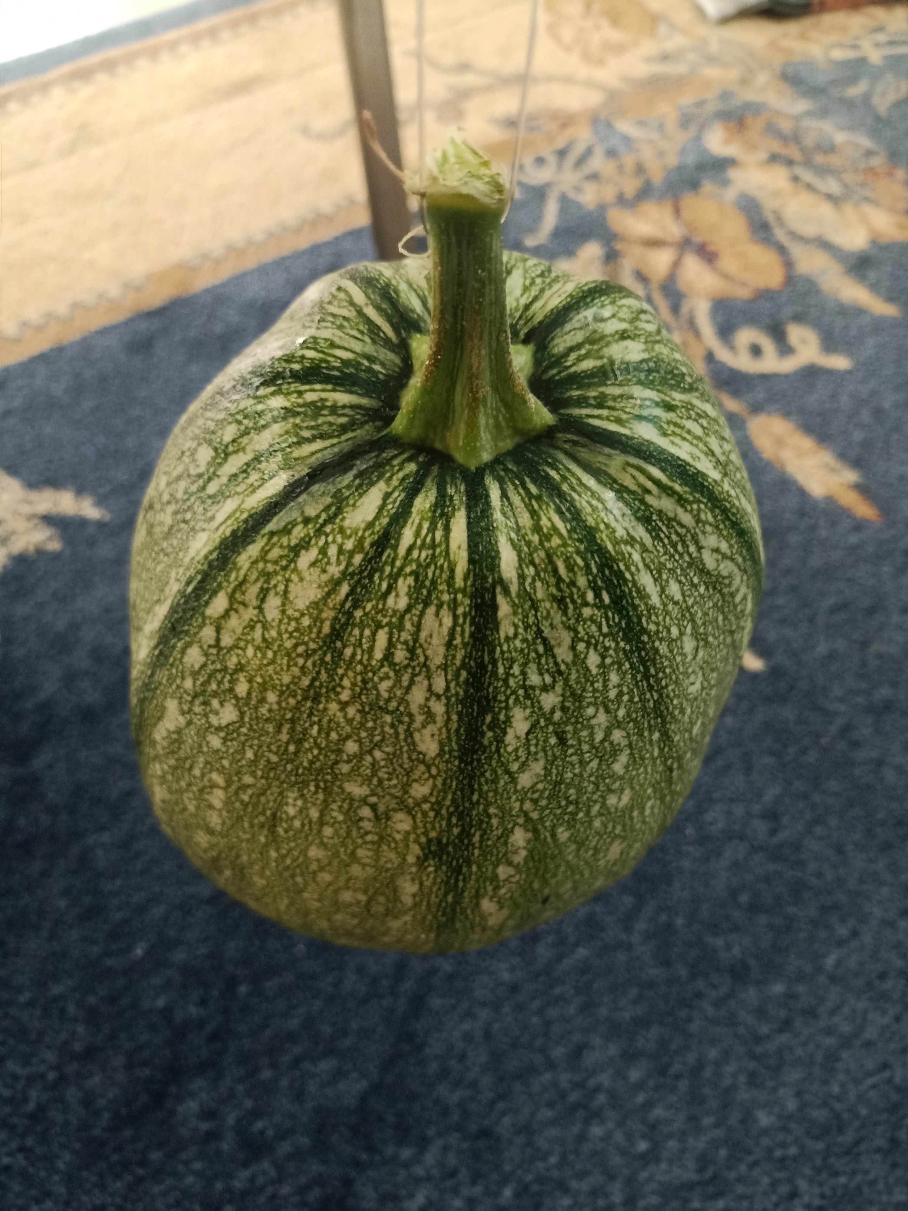 Pumpkin squash 3D model_4