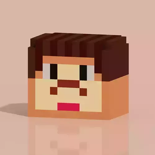 Square Face 1 Voxel