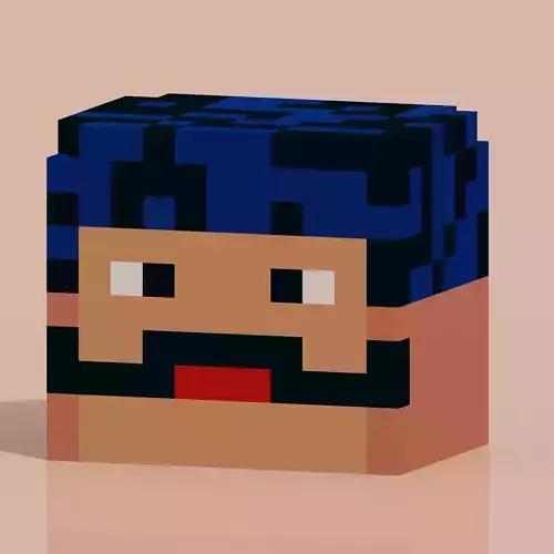 Square Face 2 Voxel