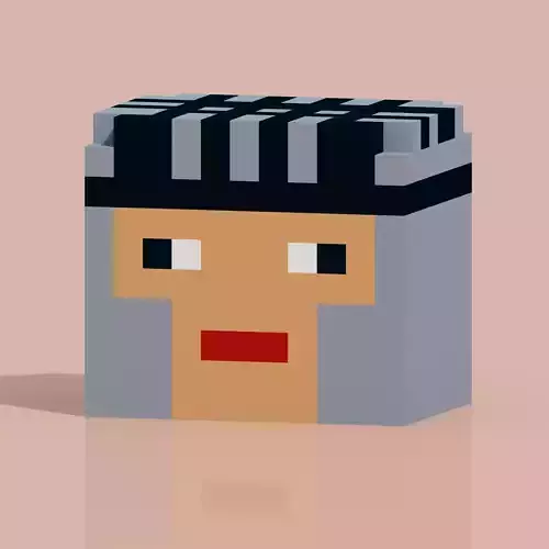 Square Face 3 Voxel