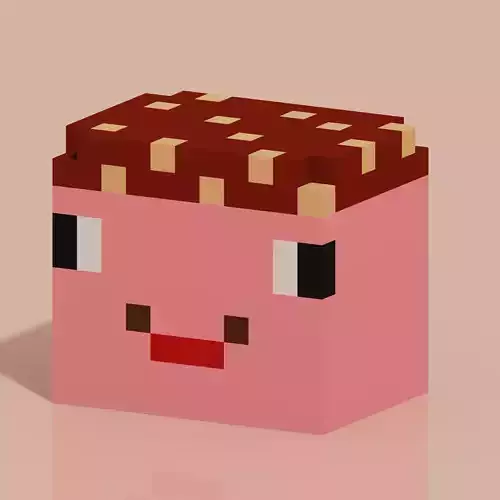 Square Face 4 Voxel