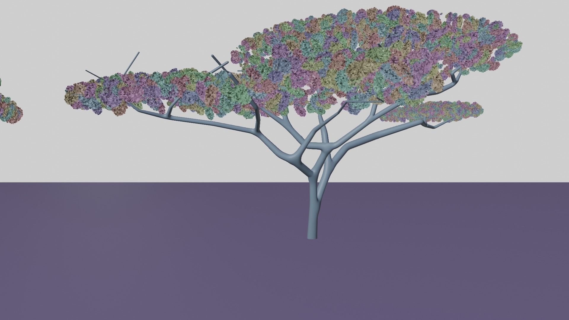 Acacia tree Low-poly 3D model_5
