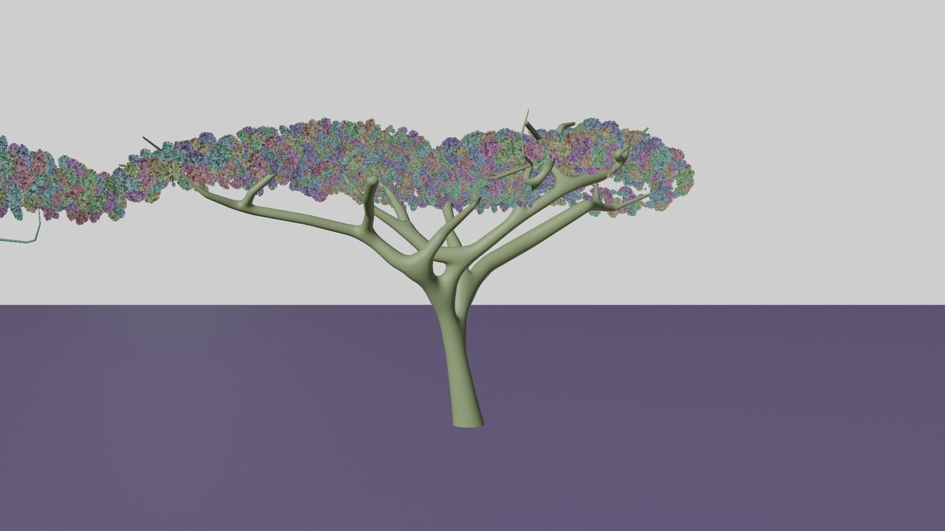 Acacia tree Low-poly 3D model_3