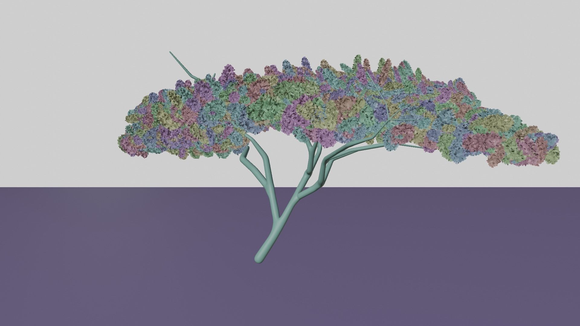 Acacia tree Low-poly 3D model_4