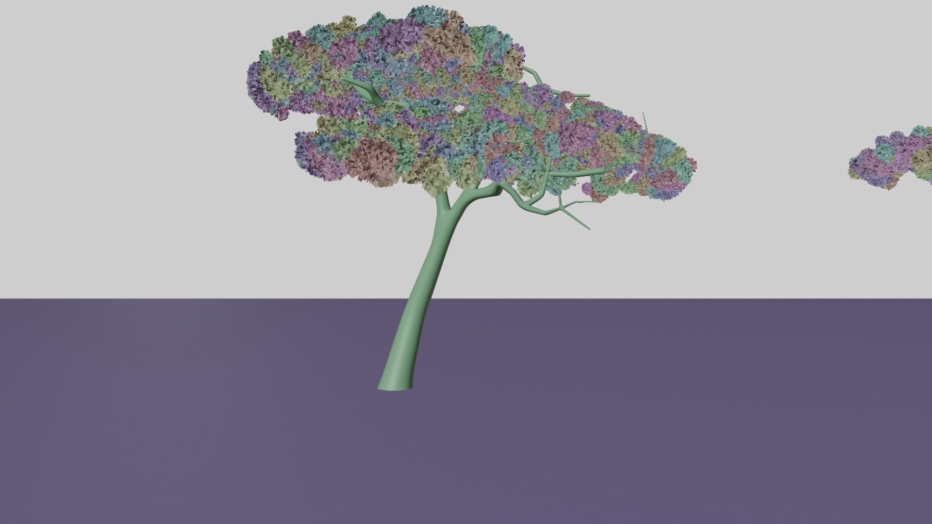 Acacia tree Low-poly 3D model_6