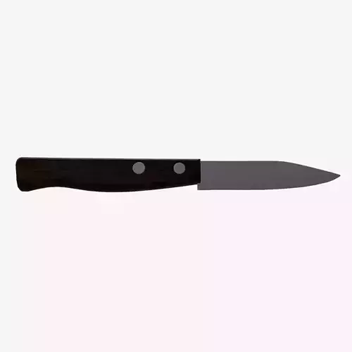 Small Kitchen Knife