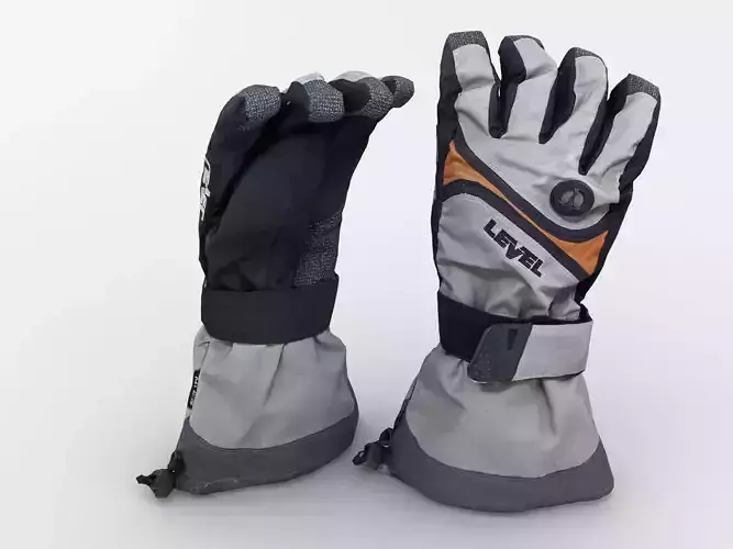 Ski Gloves