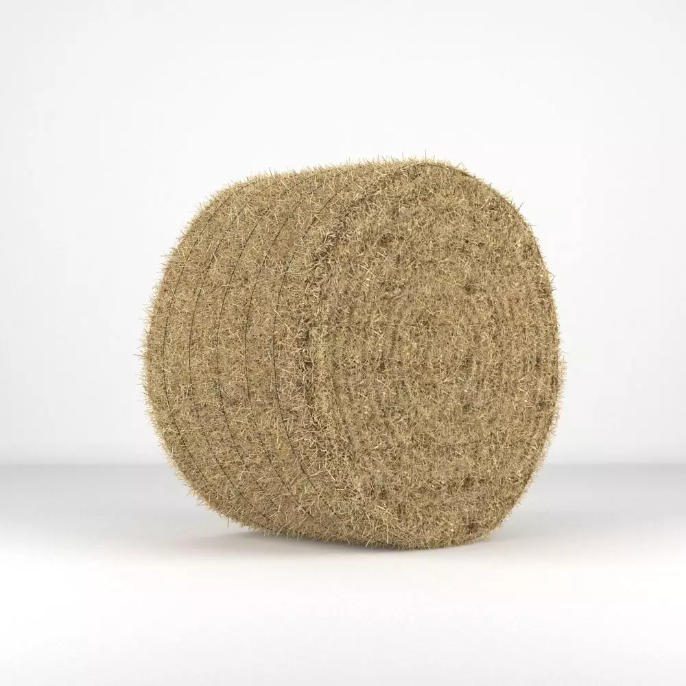 Hay Bale Round 3D model_0
