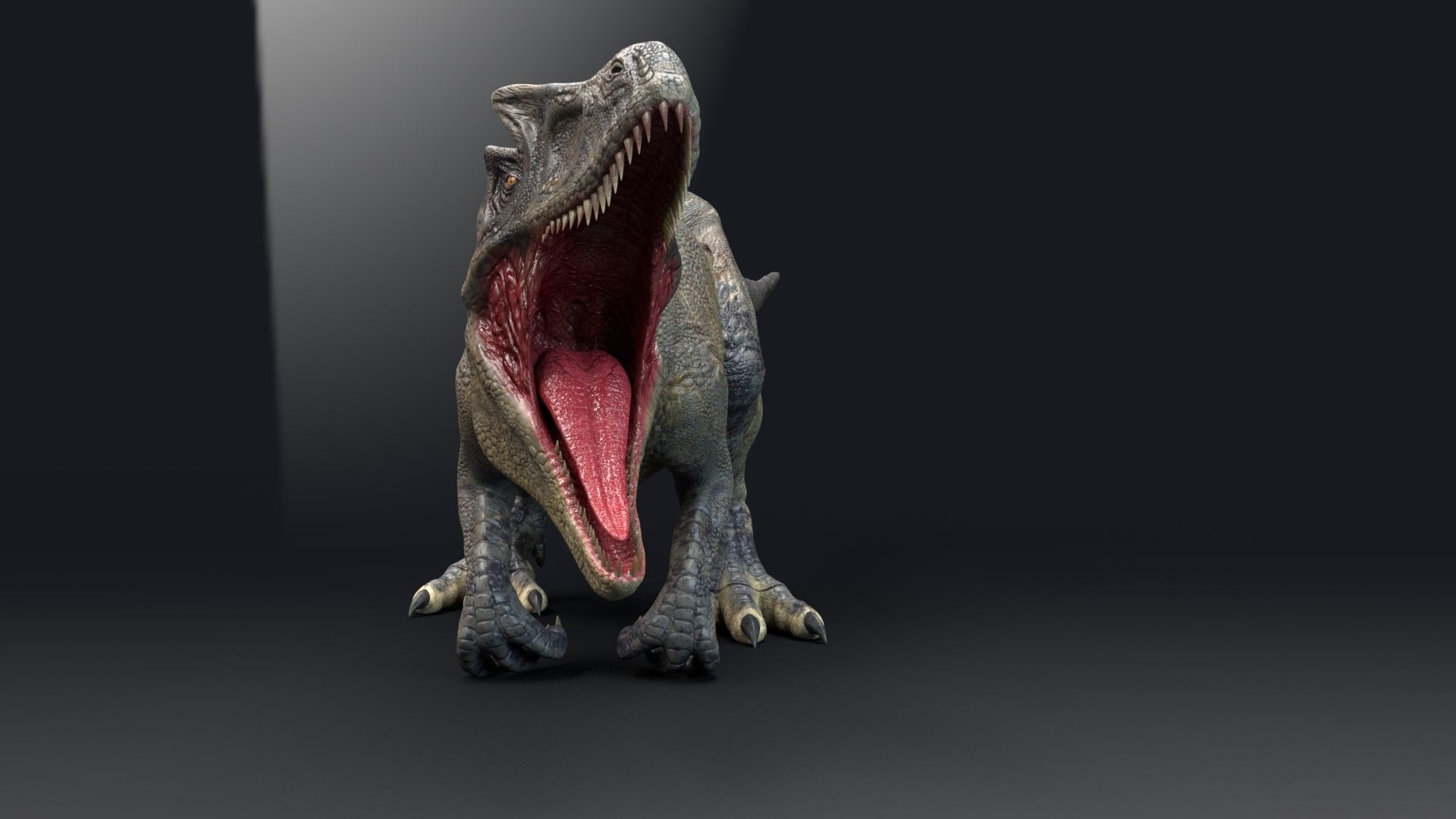 Dinosaur Allosaurus Real Dinosaur 74 Animations Low-poly 3D model_17
