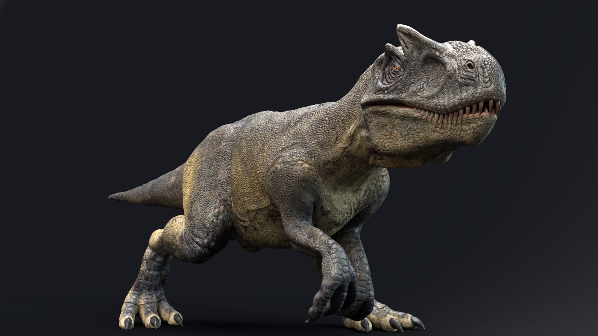 Dinosaur Allosaurus Real Dinosaur 74 Animations Low-poly 3D model_21