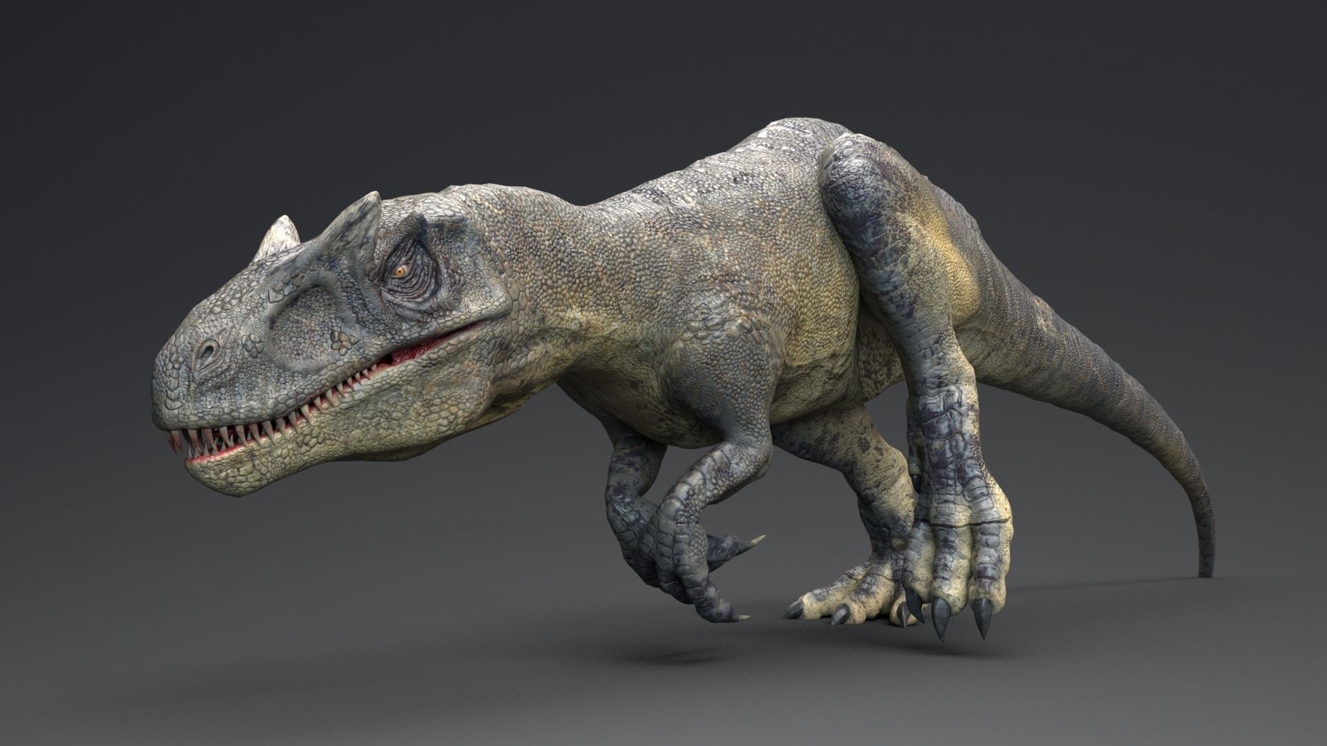 Dinosaur Allosaurus Real Dinosaur 74 Animations Low-poly 3D model_13