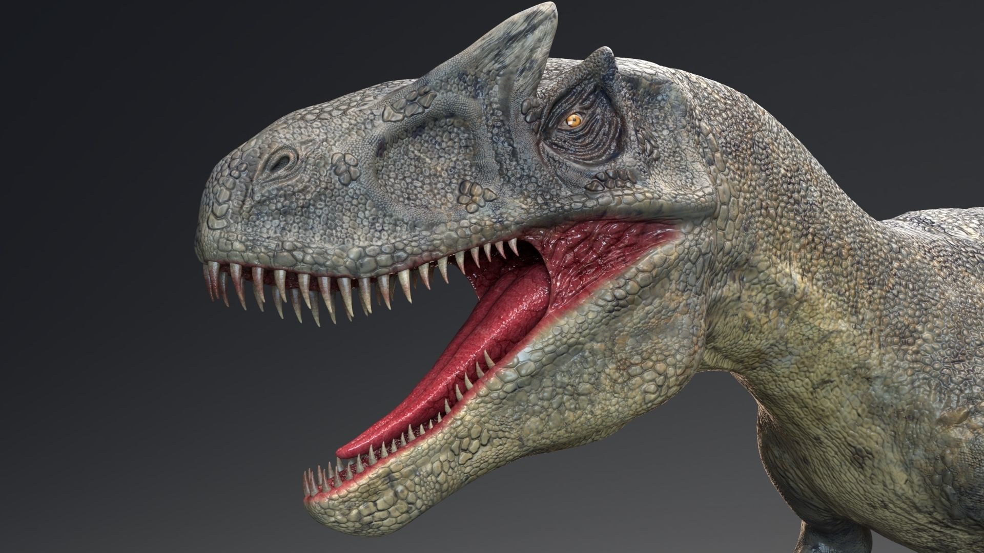 Dinosaur Allosaurus Real Dinosaur 74 Animations Low-poly 3D model_3