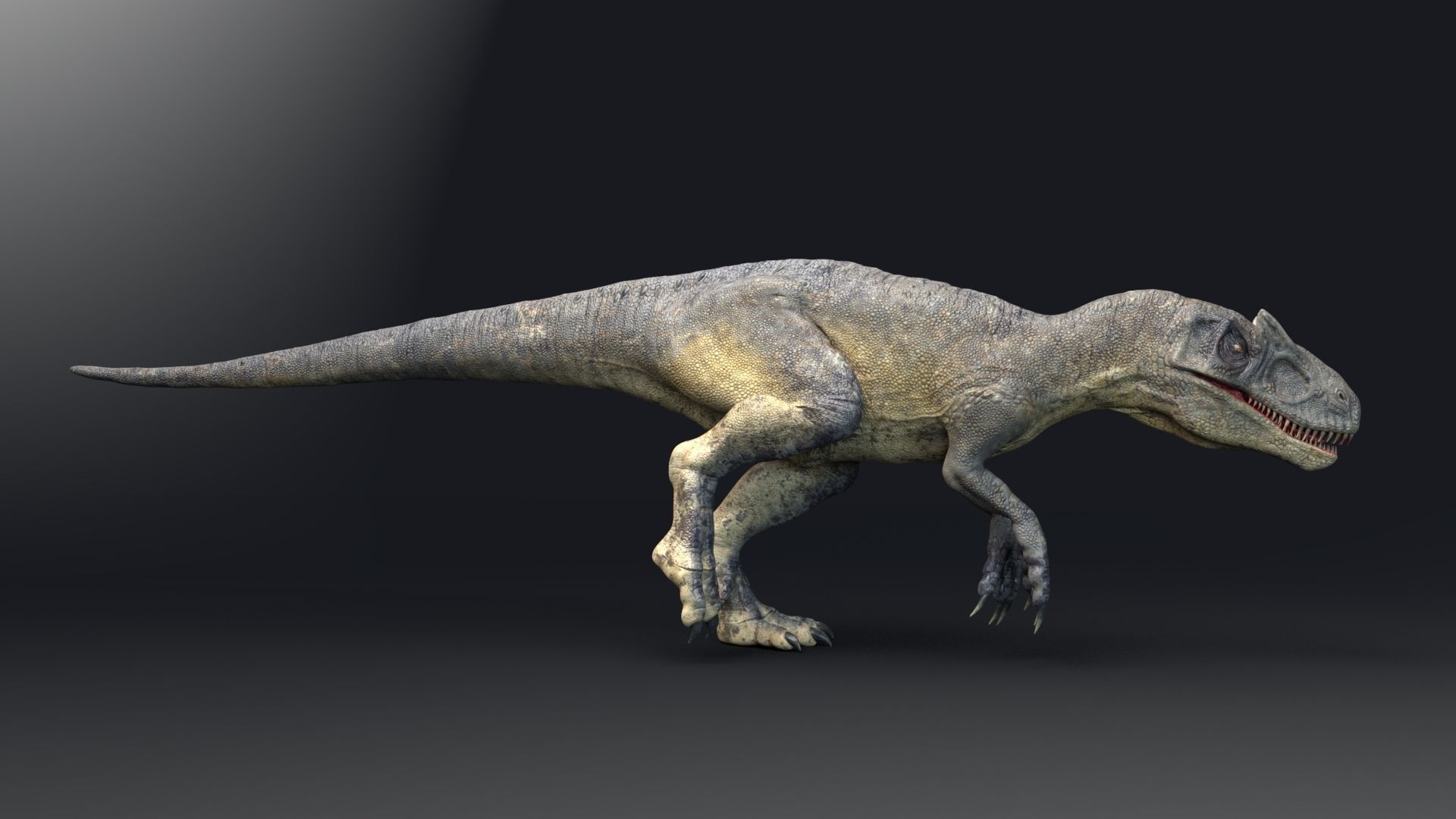 Dinosaur Allosaurus Real Dinosaur 74 Animations Low-poly 3D model_15