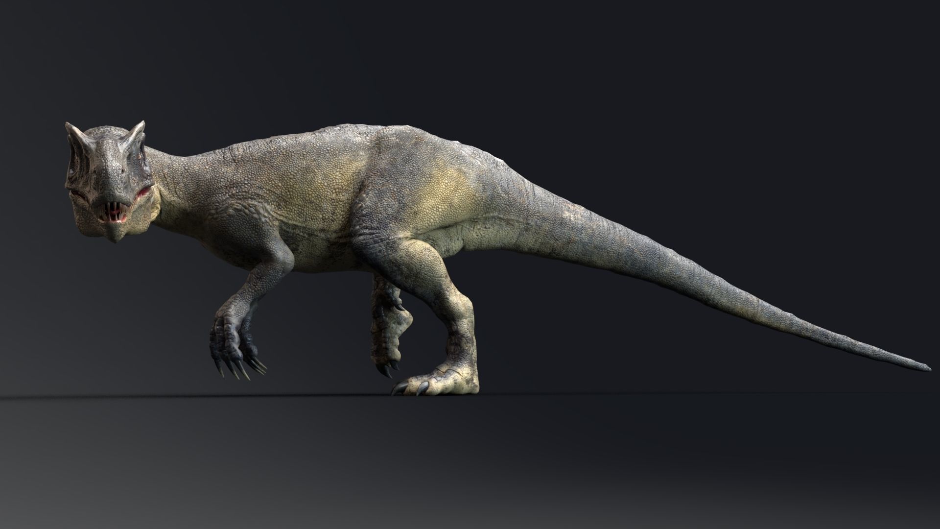 Dinosaur Allosaurus Real Dinosaur 74 Animations Low-poly 3D model_12