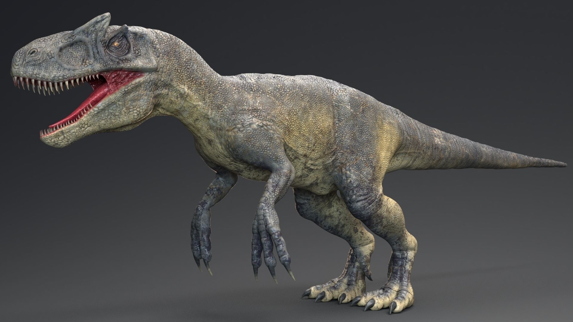 Dinosaur Allosaurus Real Dinosaur 74 Animations Low-poly 3D model_4