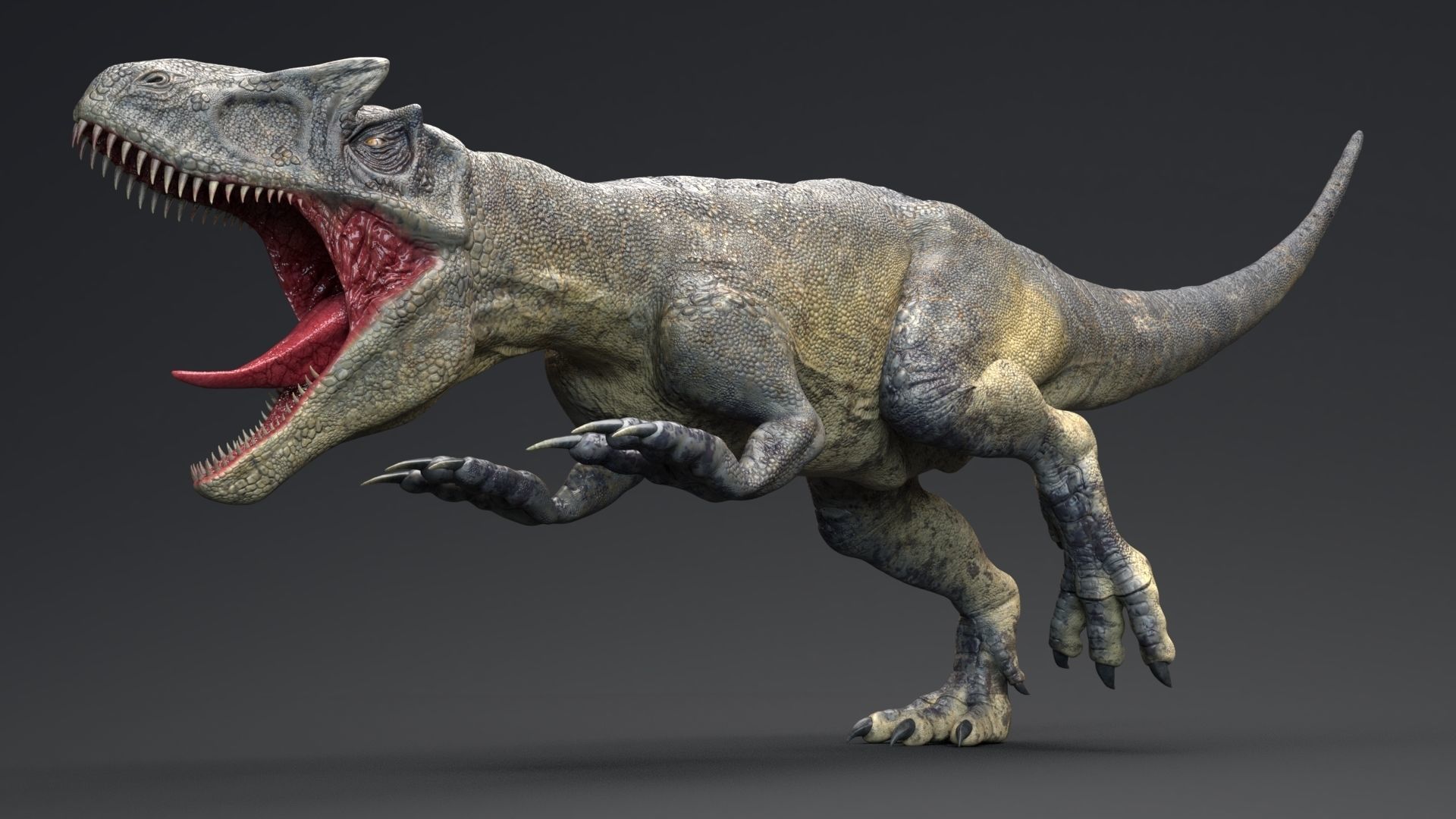 Dinosaur Allosaurus Real Dinosaur 74 Animations Low-poly 3D model_6