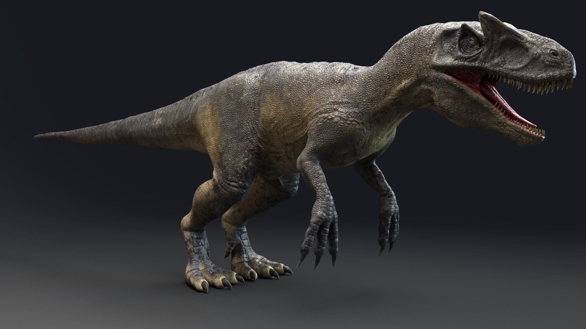 Dinosaur Allosaurus Real Dinosaur 74 Animations Low-poly 3D model_5