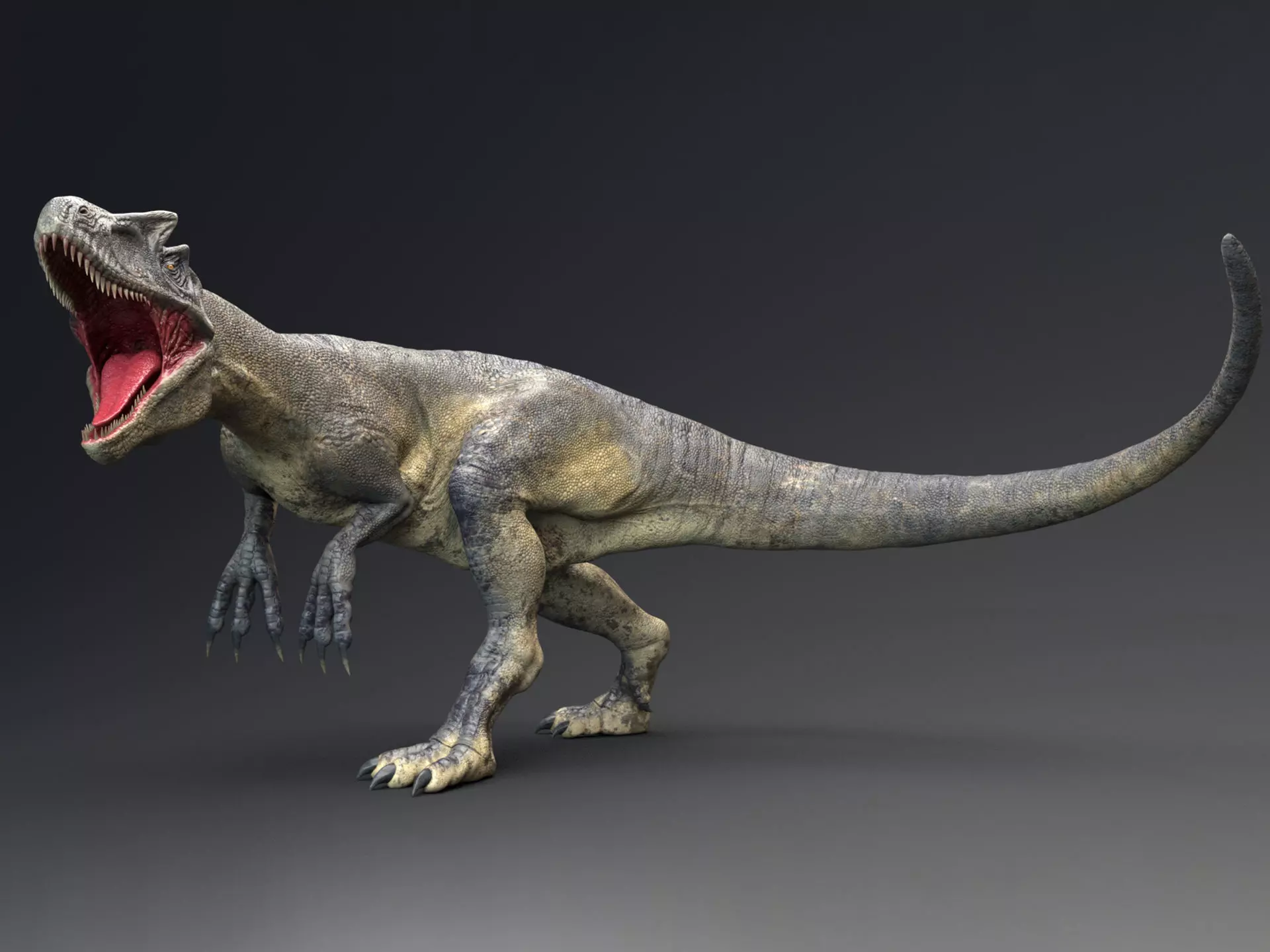 Dinosaur Allosaurus Real Dinosaur 74 Animations Low-poly 3D model_0
