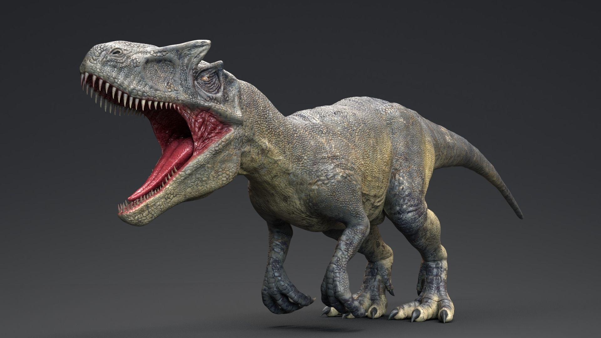 Dinosaur Allosaurus Real Dinosaur 74 Animations Low-poly 3D model_10