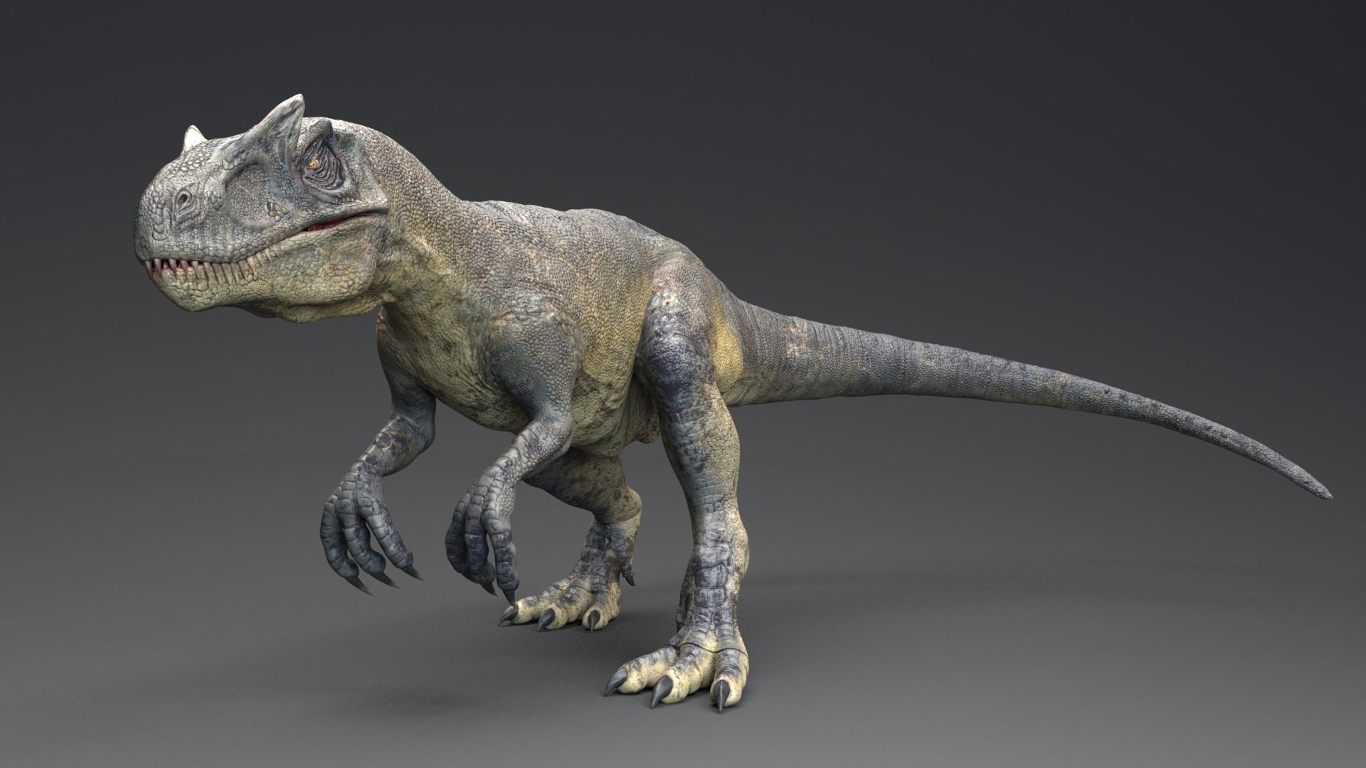 Dinosaur Allosaurus Real Dinosaur 74 Animations Low-poly 3D model_20
