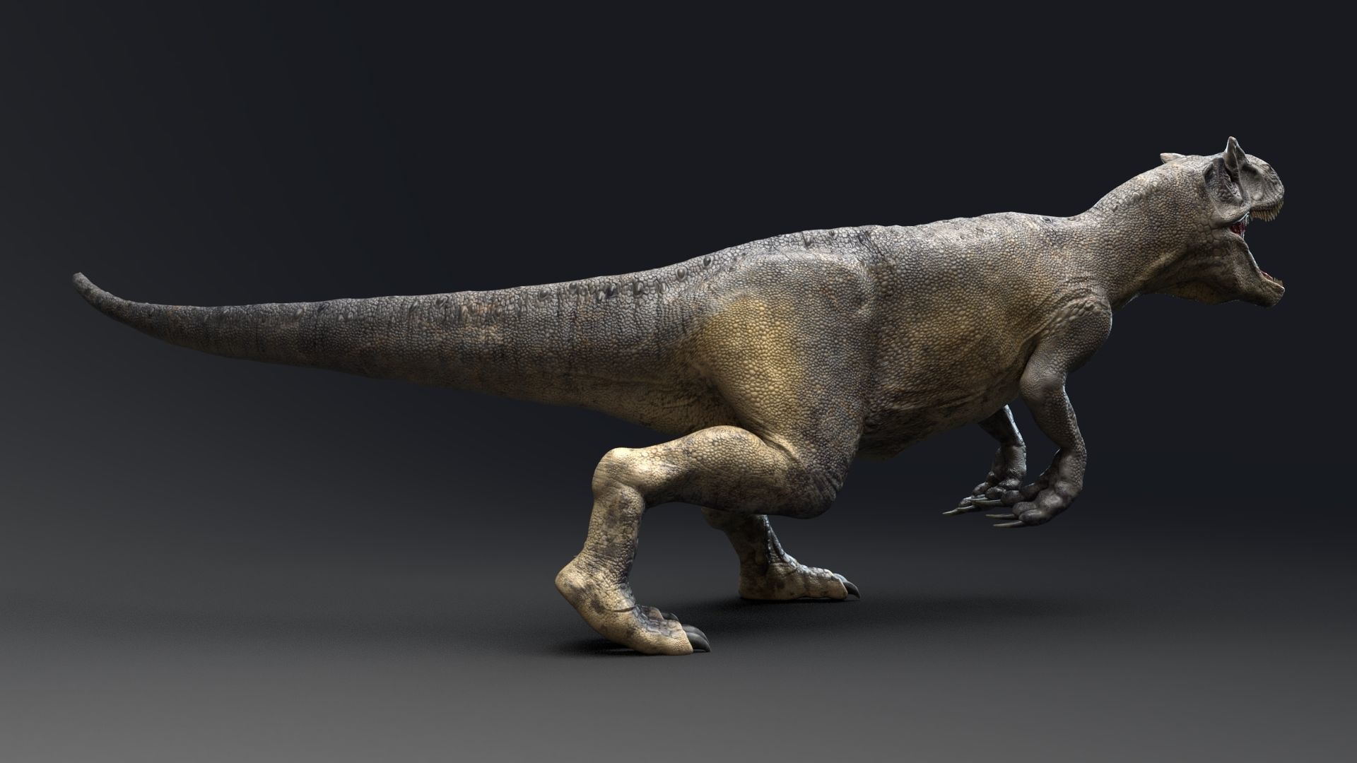 Dinosaur Allosaurus Real Dinosaur 74 Animations Low-poly 3D model_18