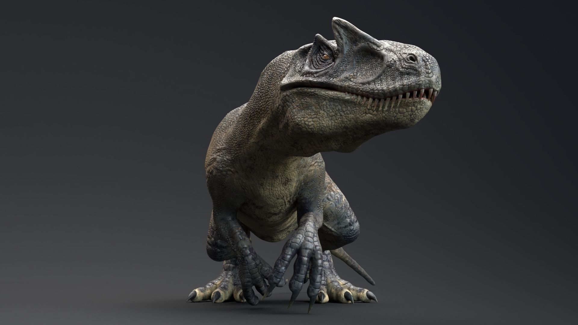 Dinosaur Allosaurus Real Dinosaur 74 Animations Low-poly 3D model_9