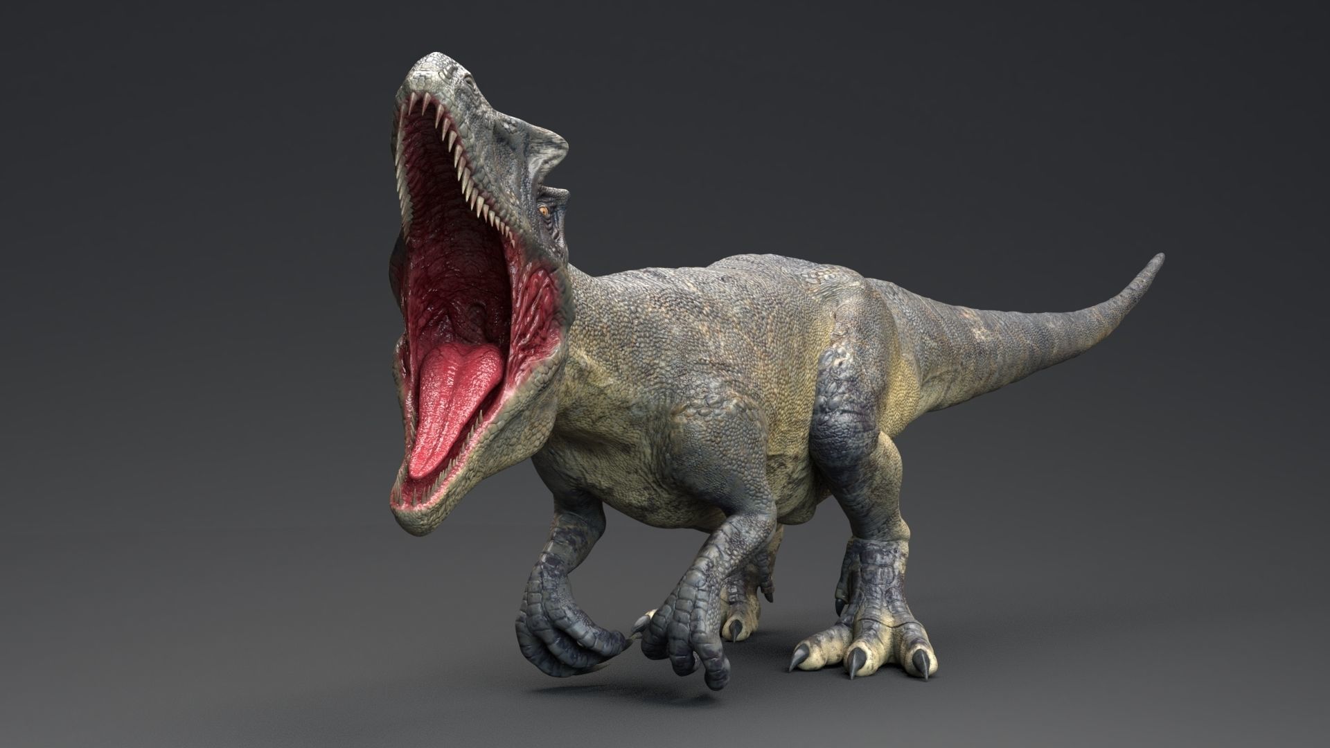 Dinosaur Allosaurus Real Dinosaur 74 Animations Low-poly 3D model_11