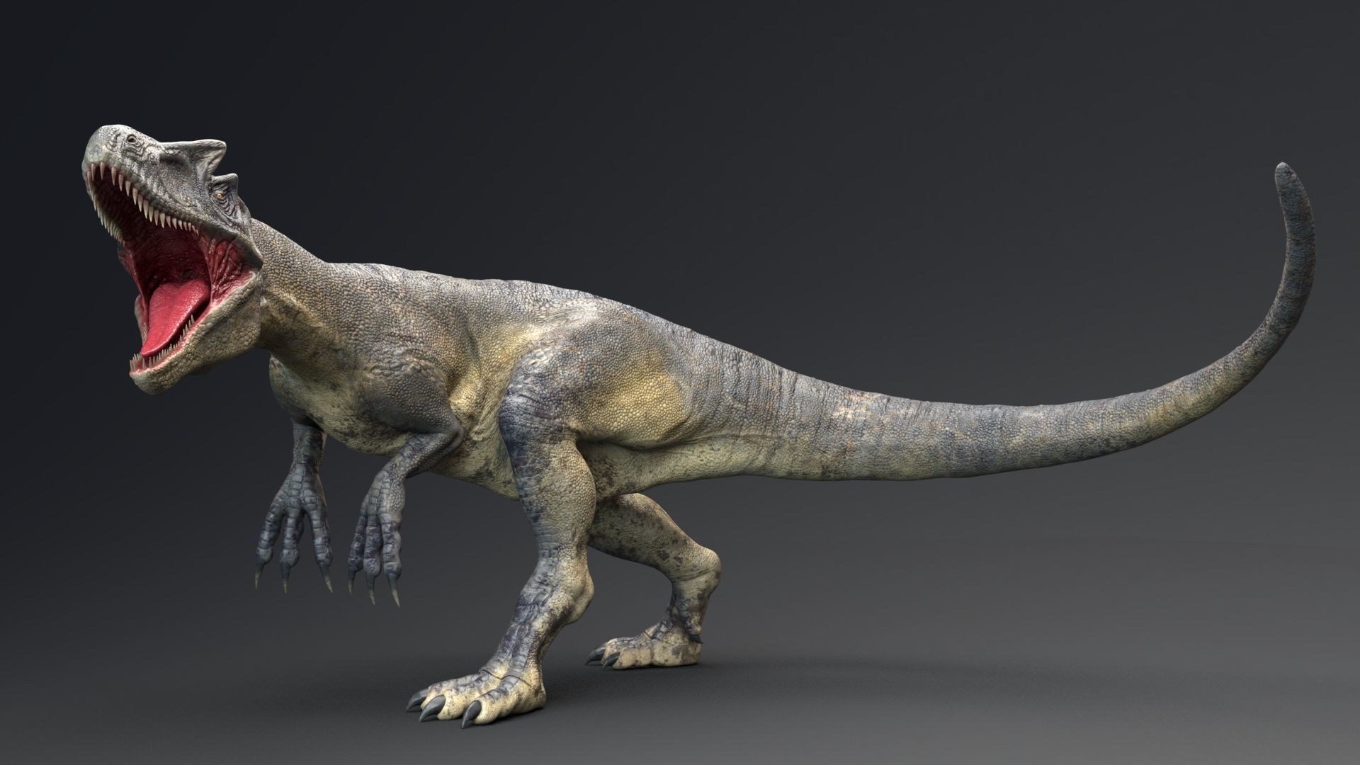 Dinosaur Allosaurus Real Dinosaur 74 Animations Low-poly 3D model_19