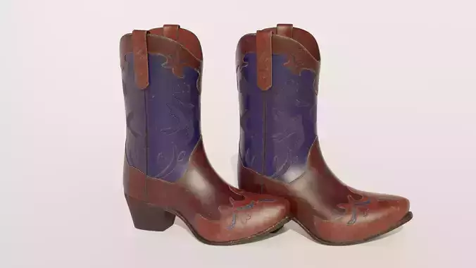 Western Boots