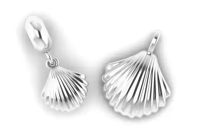 Conjunto Conchas 3D model