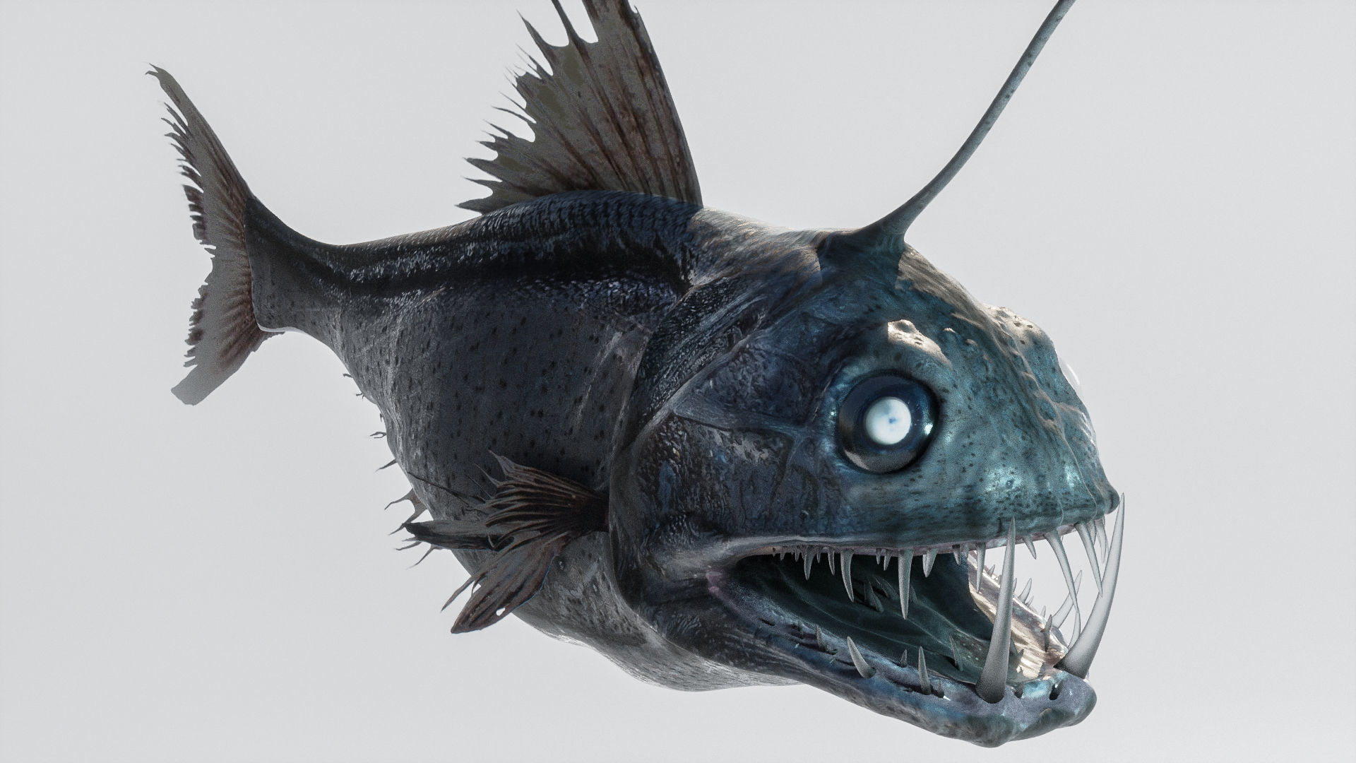 Angler Deep Sea Fish 3D model_10