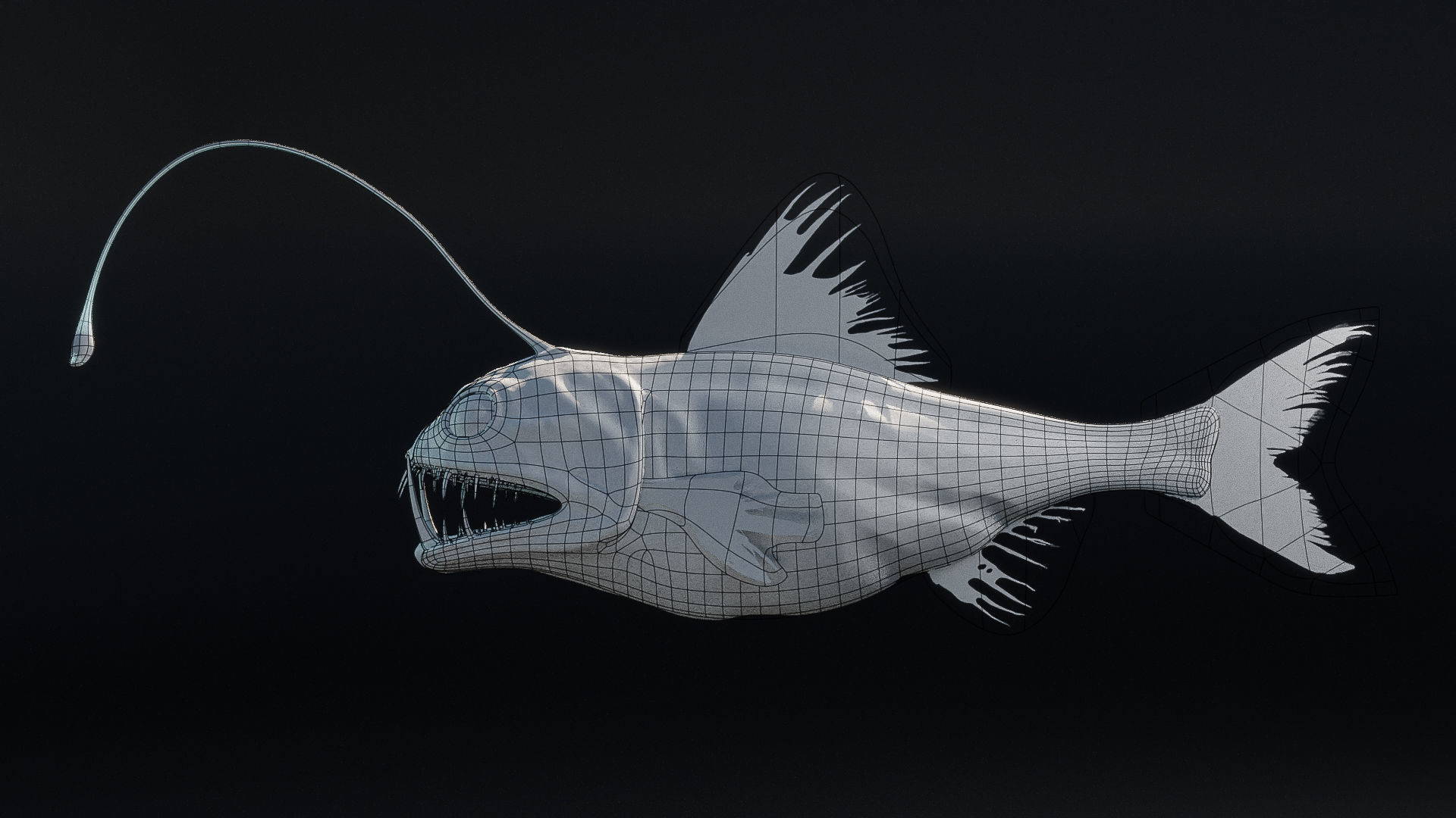 Angler Deep Sea Fish 3D model_13