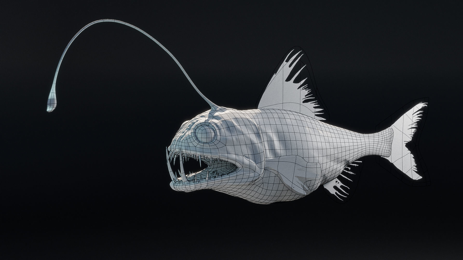 Angler Deep Sea Fish 3D model_12