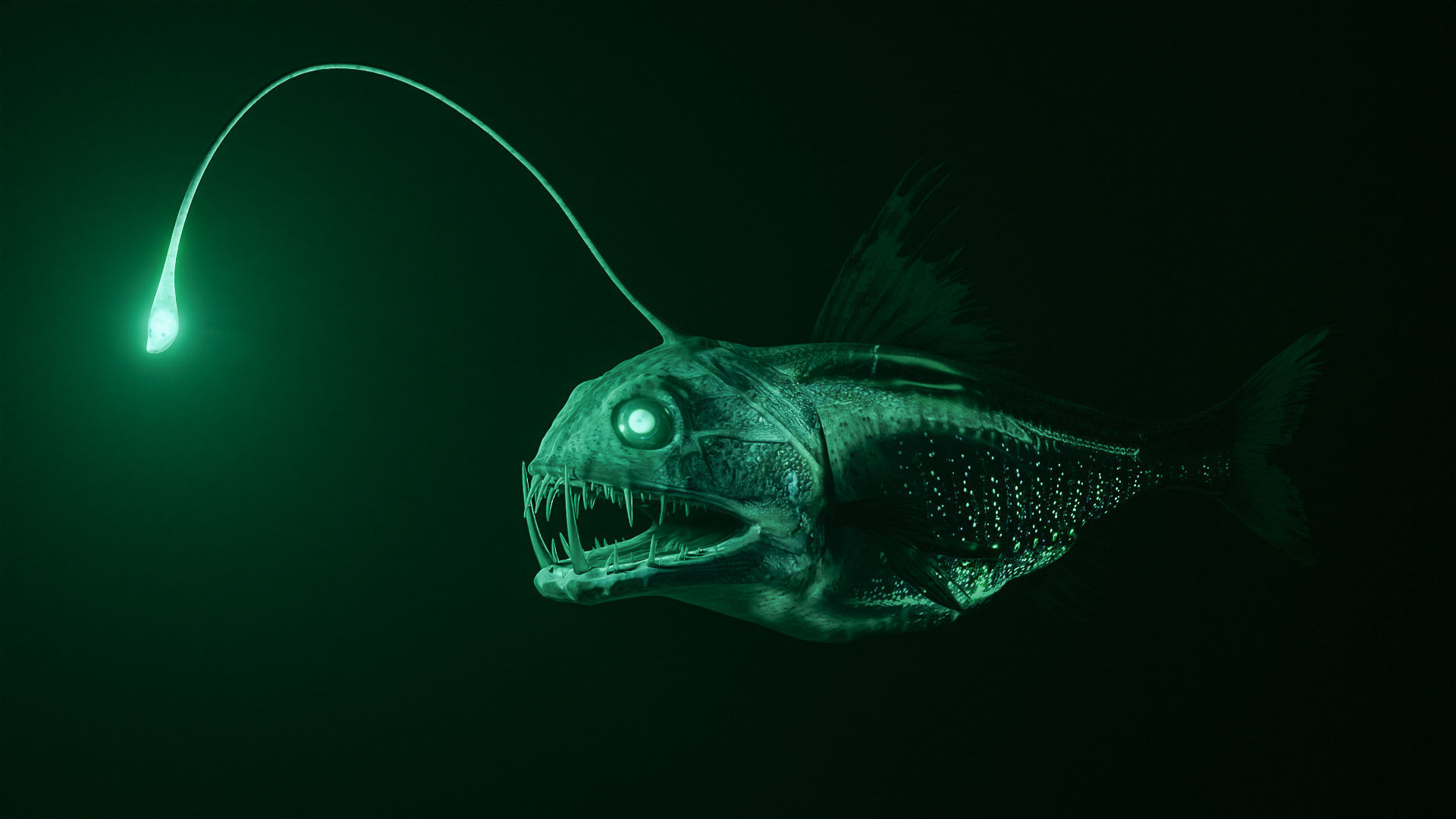 Angler Deep Sea Fish 3D model_3