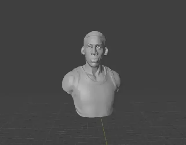 Dennis Rodman 3D print model